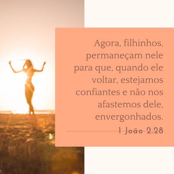1 João 2:28