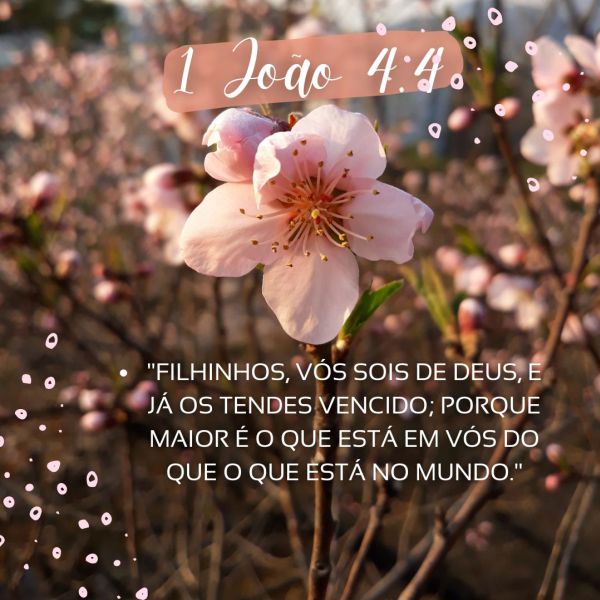1 João 4:4