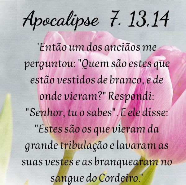 Apocalipse 7:13-15