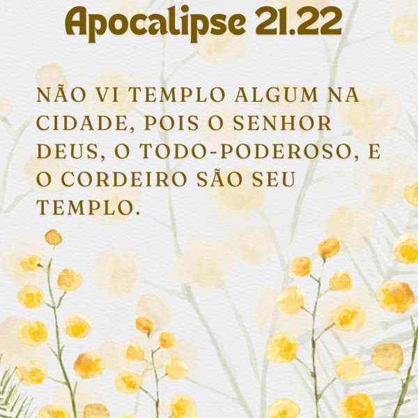 Apocalipse 21:22-24