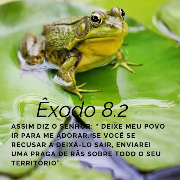 Êxodo 8:1-15