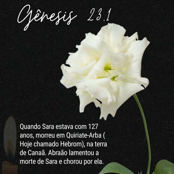 Gênesis 23:1