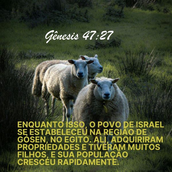 Gênesis 47:27-30