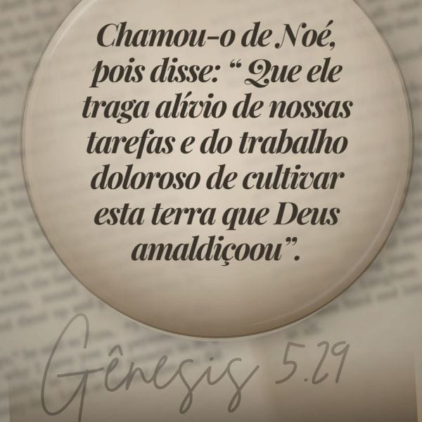 Gênesis 5:29